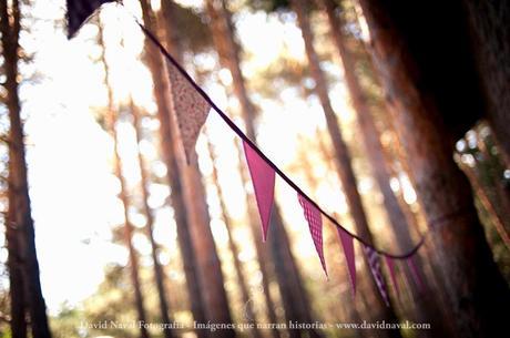 Tu boda en un bosque