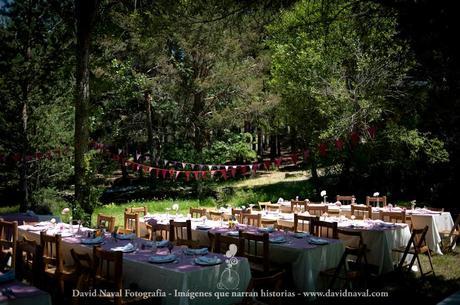 Tu boda en un bosque