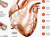 Fallece jugando fútbol sala pabellón Veiga (San Cibrao) adulto "sano deportista"