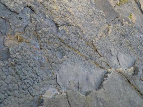 15 Ideas: Asturias Restos del Jurásico Superior -Huellas de cuadrúpedos-