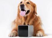 Friday’s Gadget: Petcube