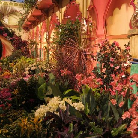 macys-flower-show-03