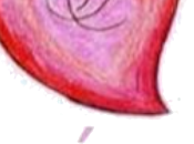 Premio Conóceme.