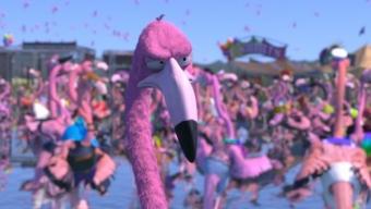 Flamingo Pride :: viernes vídeo Flamingo Pride :: viernes vídeo