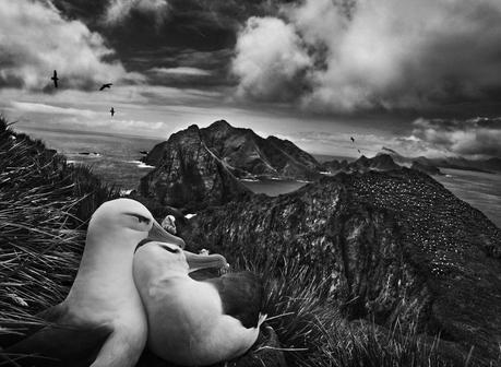 Génesis según Sebastiao Salgado 2