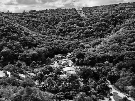 Génesis según Sebastian Salgado 5