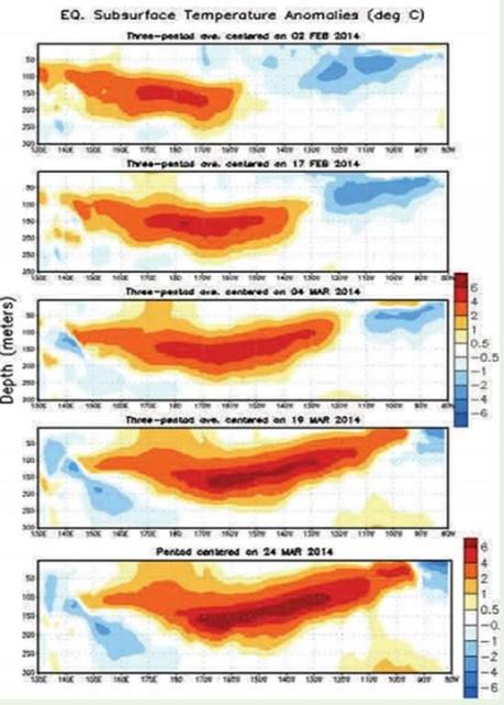 Evolución de la Temperatura bajo la superficie del Pacífico   ecuatorial. (Fuente NOAA-CPC-NCEP)  