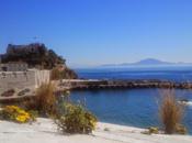 Diario trasplantada: Volver empezar. Papeleos