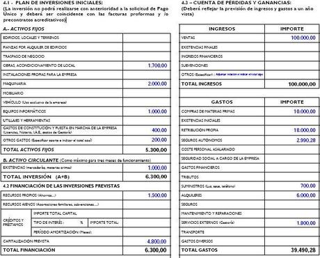 Capitalización  del paro pago único