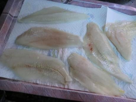 Pescada en salsa de zanahoria