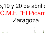 Torneo "Inmortal Ciudad Zaragoza" 2014, equipos horarios