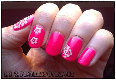 Recopilación reto tipos de esmaltes