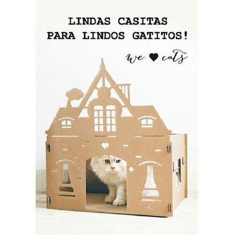 Resumen de la semana #15