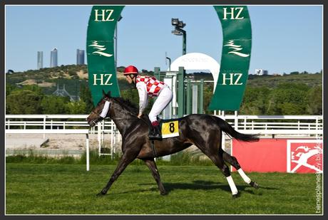 Hipódromo de la Zarzuela (Madrid)