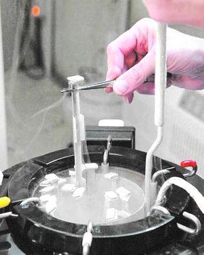 TURISMO REPRODUCTIVO EN INDIA