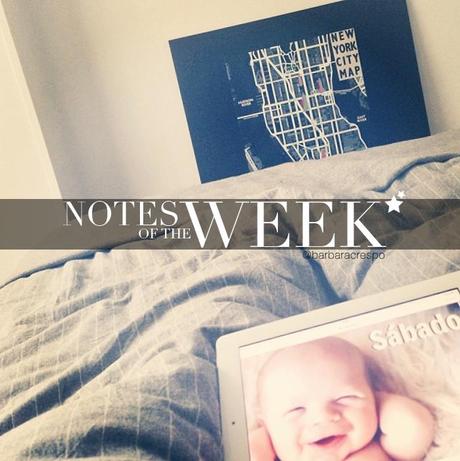 notes of the week barbara crespo tumblr social media instagram youtube instavideo