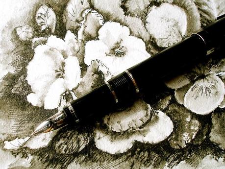 Pluma y tintas - Pen & Ink drawings - Namiki Falcon