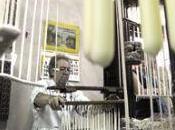 Oficios Quehaceres: Maestros Cereros