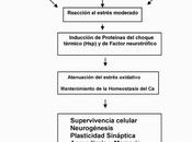 Poco relacionado está deporte, pero resisto ponerlo...