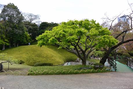 De investigación por Tokyo Dome
