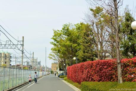 De investigación por Tokyo Dome