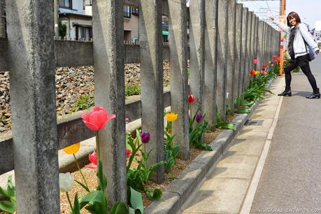 De investigación por Tokyo Dome