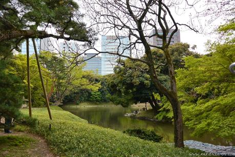 De investigación por Tokyo Dome