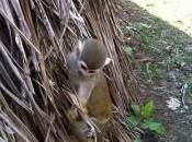 ¿cómo interesarnos estado nuestra candidatura?