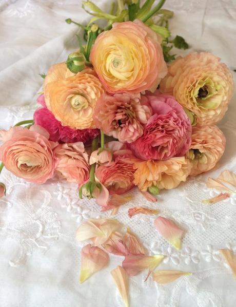 DECORAMOS CON FLORES DECORAMOS CON FLORES