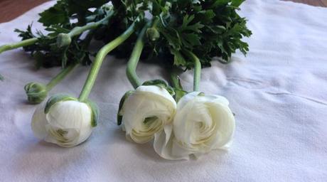 DECORAMOS CON FLORES DECORAMOS CON FLORES