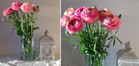 DECORAMOS CON FLORES DECORAMOS CON FLORES