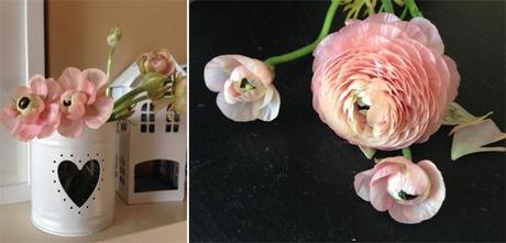 DECORAMOS CON FLORES DECORAMOS CON FLORES