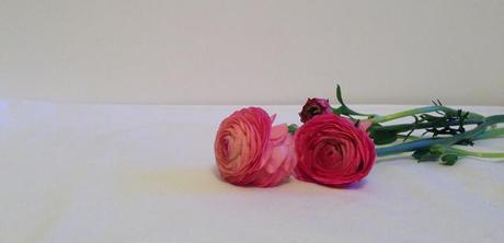 DECORAMOS CON FLORES DECORAMOS CON FLORES