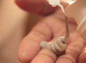 Reseña: arcilla Clayspray para cara