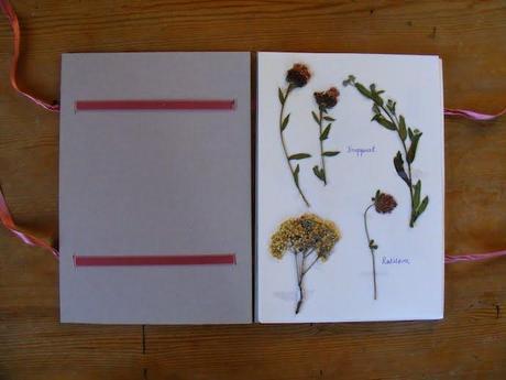 Tutorial herbario libro DIY