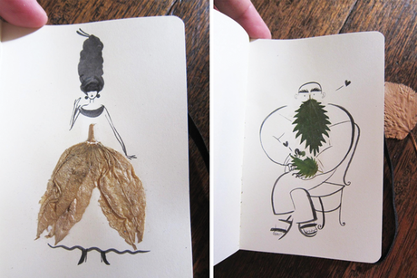 Herbario DIY en libreta e ilustrado