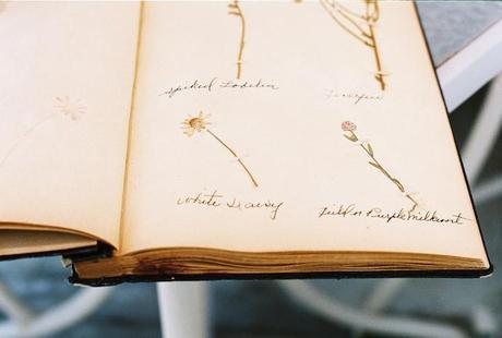 Herbario DIY realizado en un libro vintage