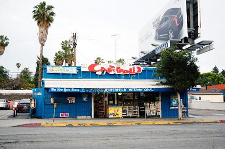 Los_Angeles-travel-Collagevintage-floral_Dress-Denim_Jacket-Denim-45