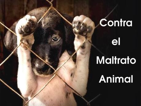 Quien es cruel con los animales, no puede ser buena persona