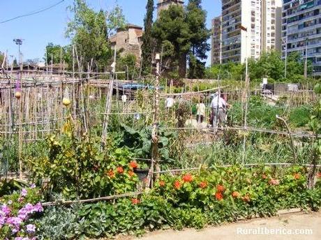 Huertos Urbanos