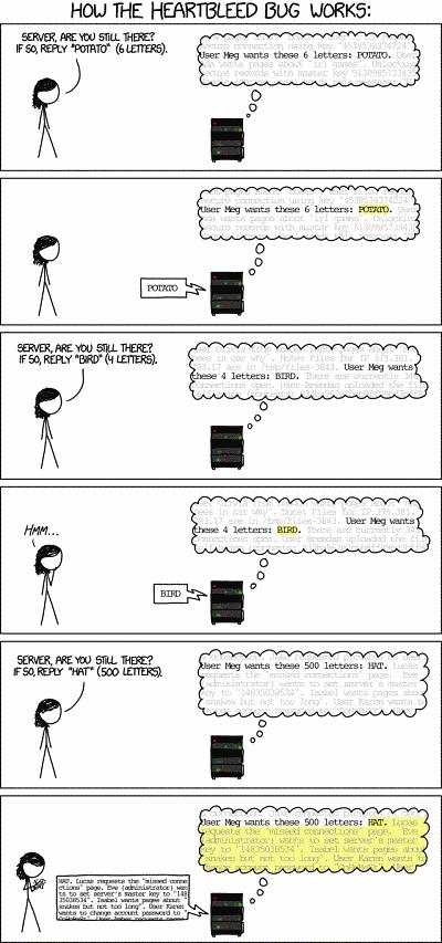 Actualidad Informática. xkcd te explica como funciona Heartbleed . Rafael Barzanallana