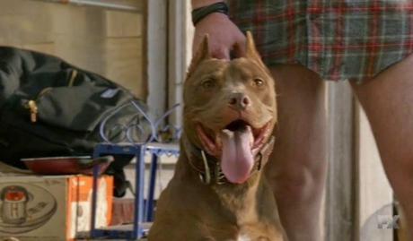 Justified - Temporada 5