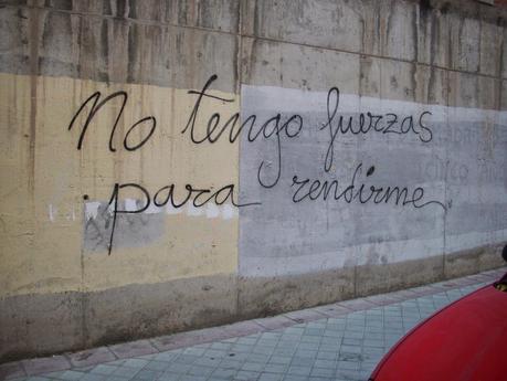 LOS MIL Y UN PROYECTOS