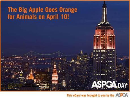 El Empire State de naranja protestando contra el maltrato animal