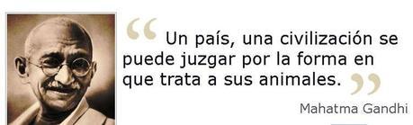 Gandhi en contra de todo tipo de maltrato, incluido el animal