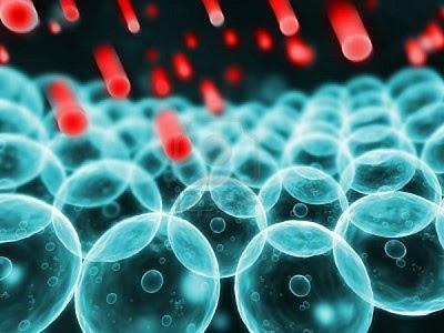 estres oxidativo radicales libres 20 Consejos Útiles para Evitar el Stress Oxidativo