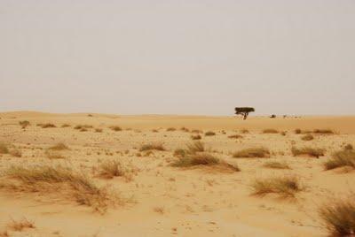 5 Agosto: Nouadhibou - Nouakchott
