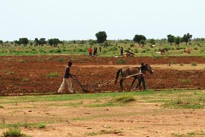 9 Agosto: Nioro - Bamako