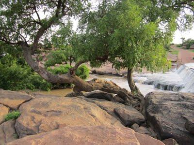 13 Agosto: Djenné - Bandiagara