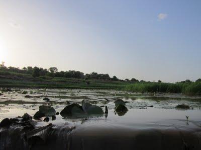 13 Agosto: Djenné - Bandiagara